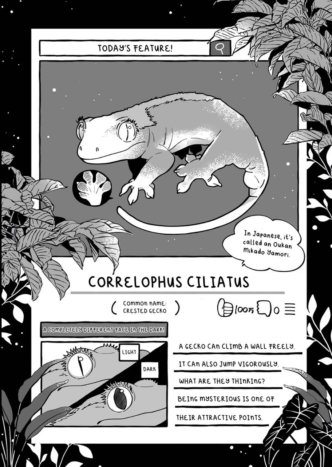 Chapter 3 - Page 20