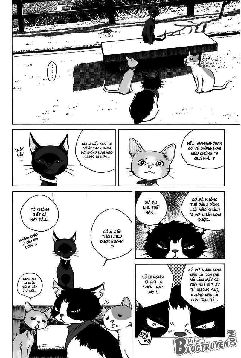 Chapter 156 - Page 18