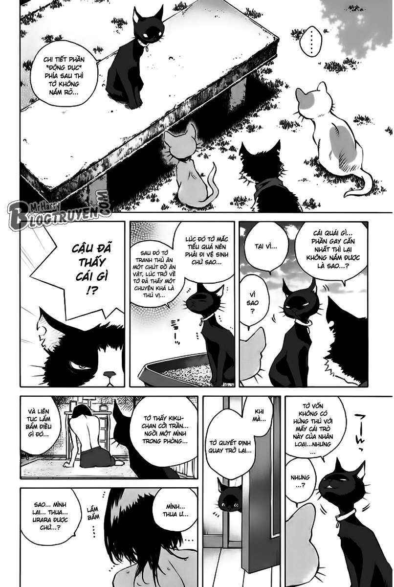 Chapter 156 - Page 32