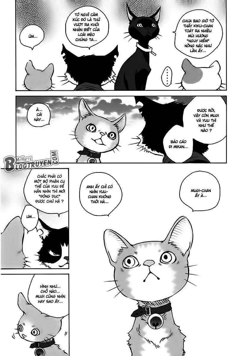 Chapter 156 - Page 33