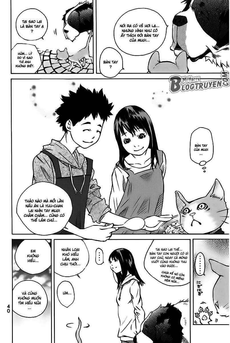 Chapter 156 - Page 41