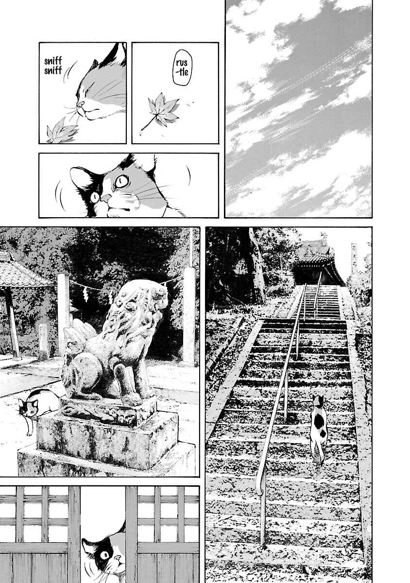 Chapter 14.5 - Page 4