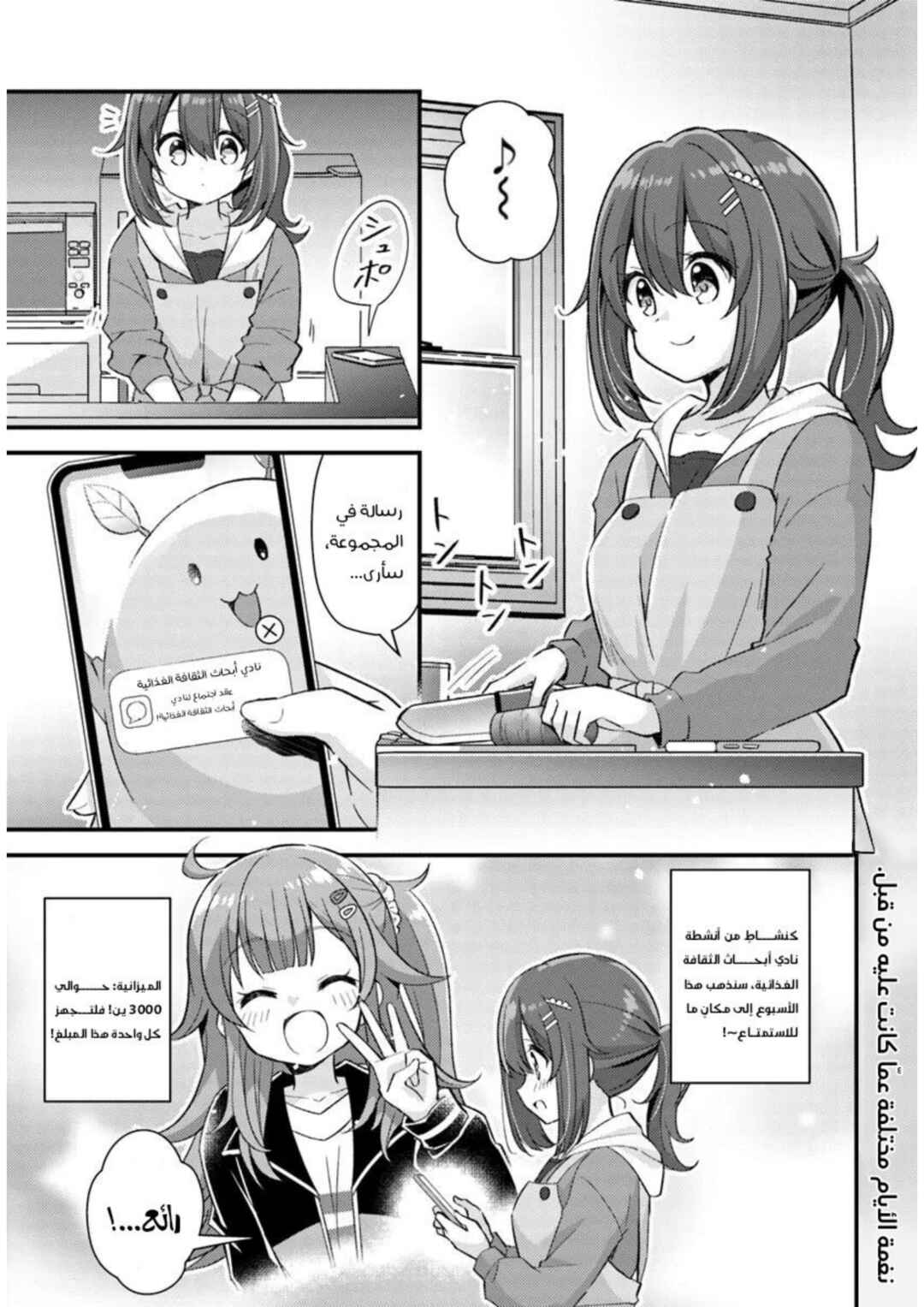 Chapter 3.1 - Page 2