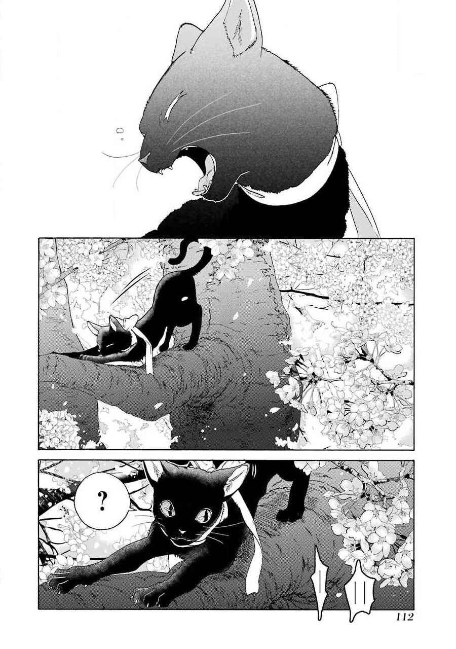Chapter 5 - Page 4