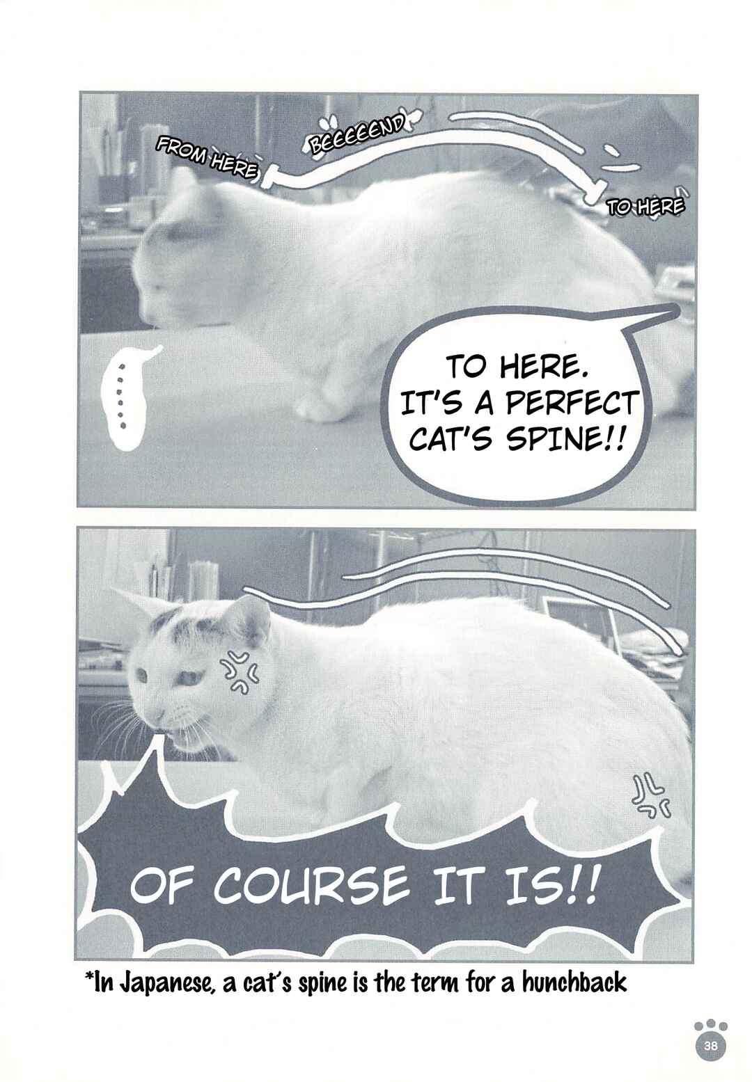 Chapter 7 - Page 3