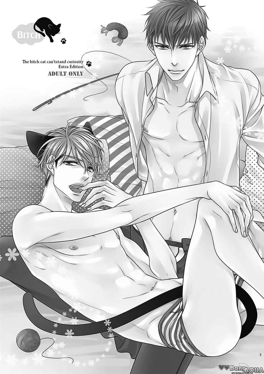 Chapter Doujinshi Vol.3 - Page 5