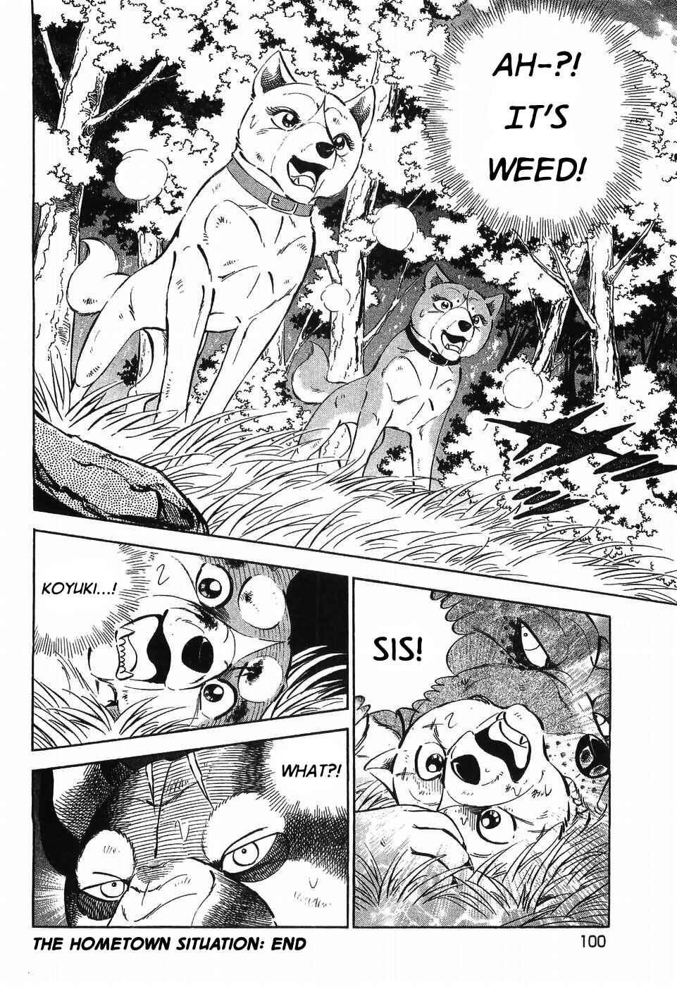 Chapter 303 - Page 23