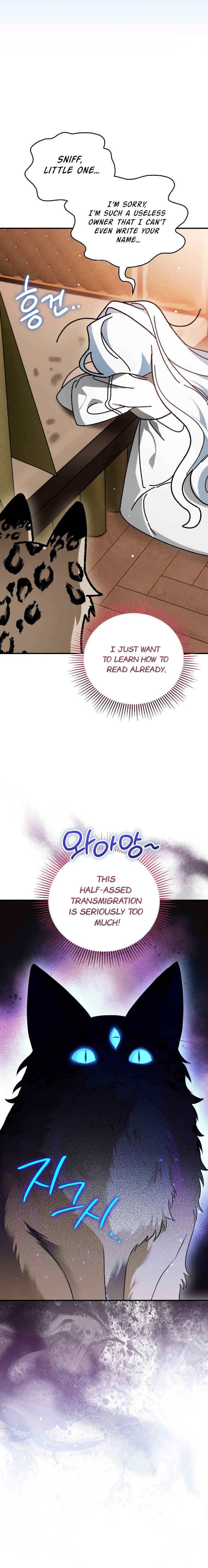 Chapter 3 - Page 16