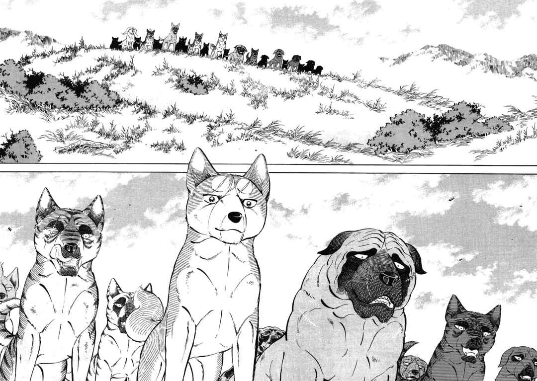 Chapter 341 - Page 13