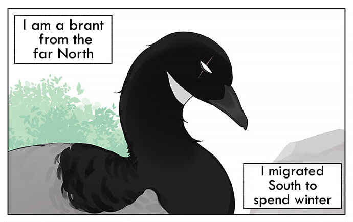 Chapter 33 - Page 1