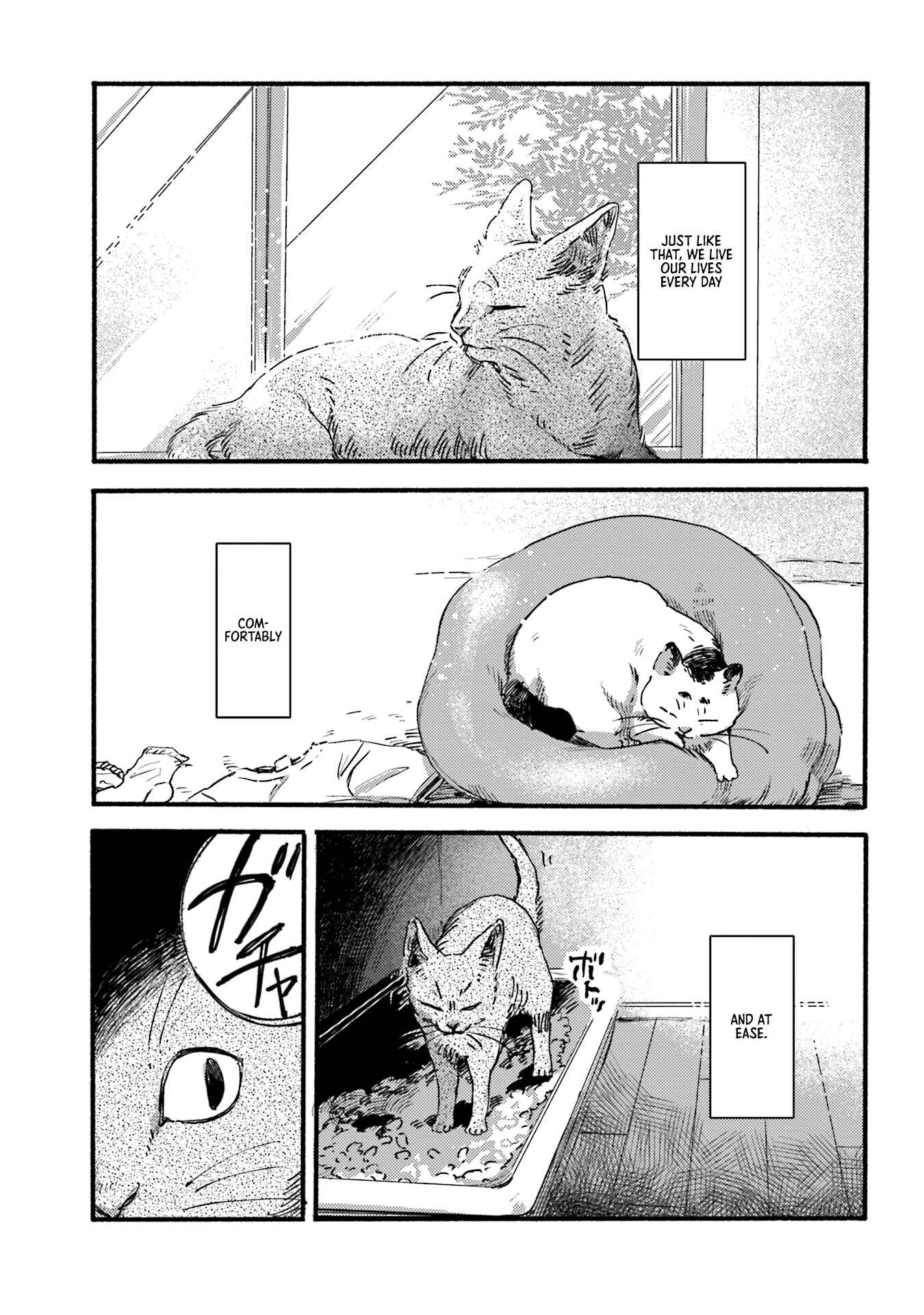 Chapter 2 - Page 5