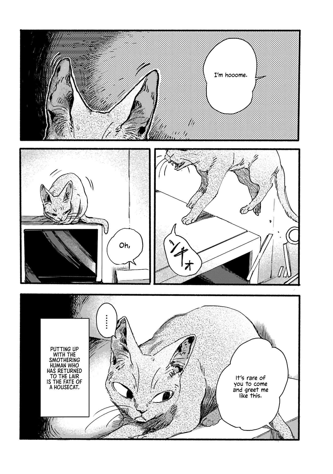 Chapter 2 - Page 6