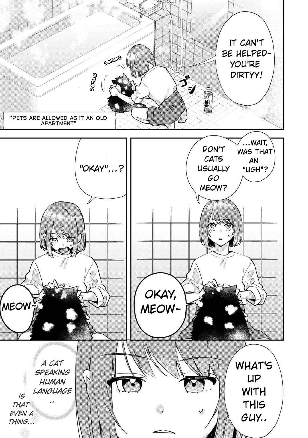 Chapter 1 - Page 3