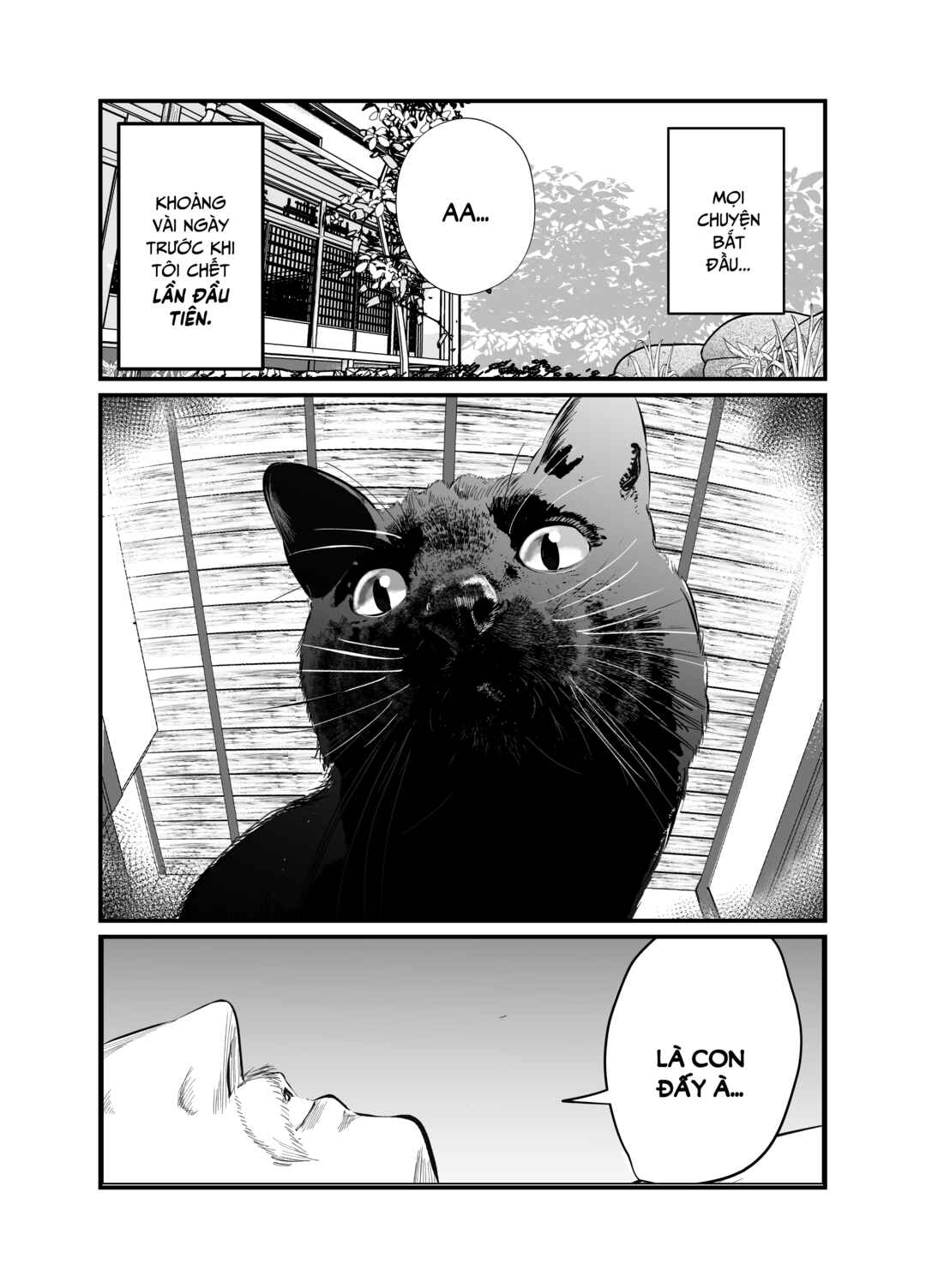 Chapter 1 - Page 1