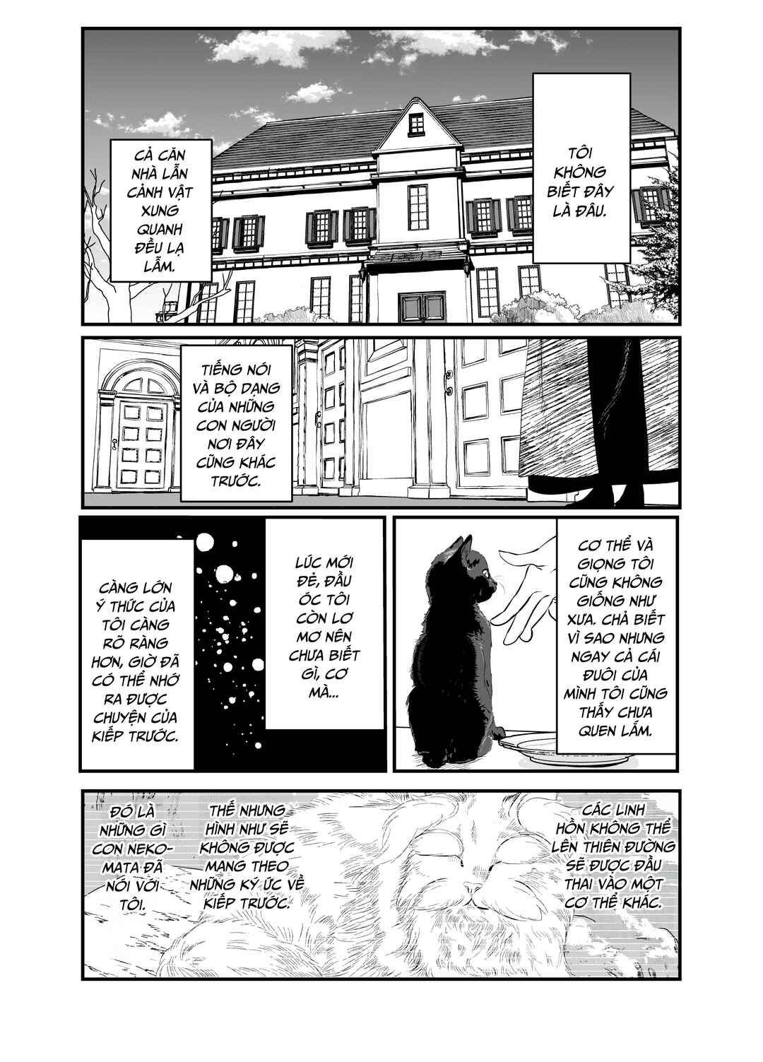Chapter 1 - Page 14