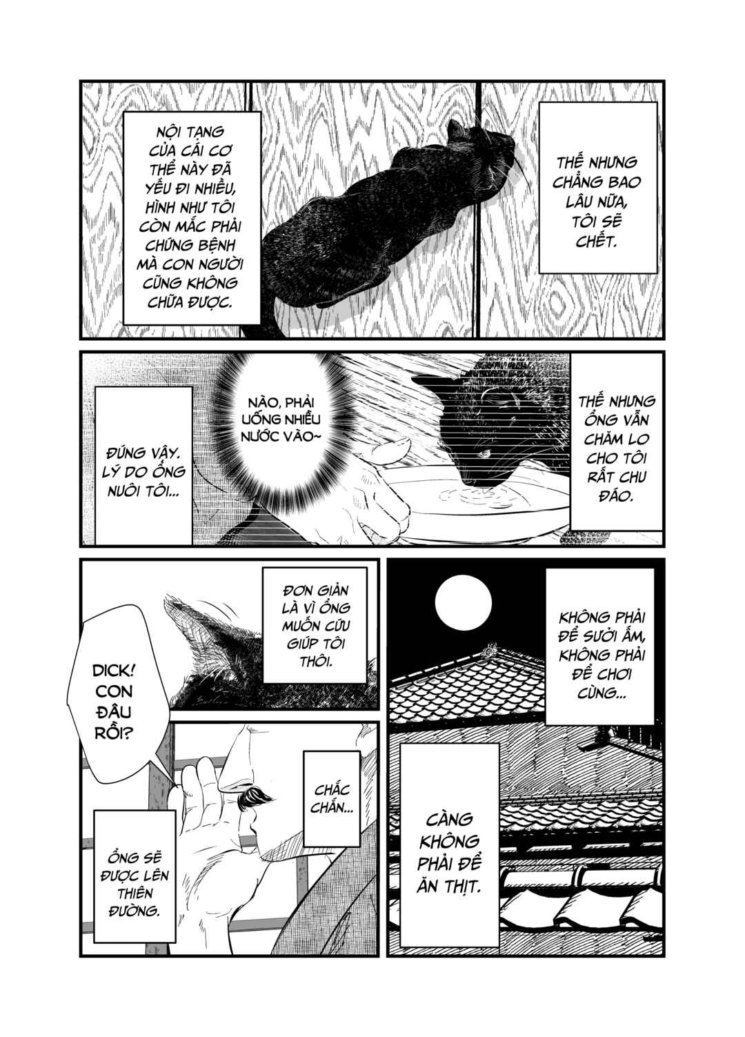 Chapter 1 - Page 36