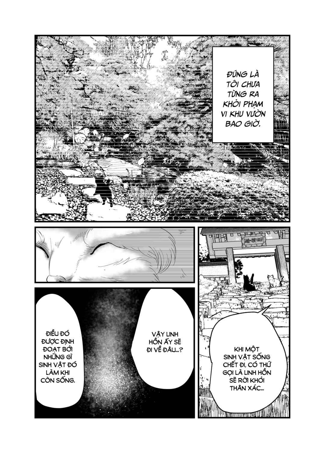 Chapter 1 - Page 9