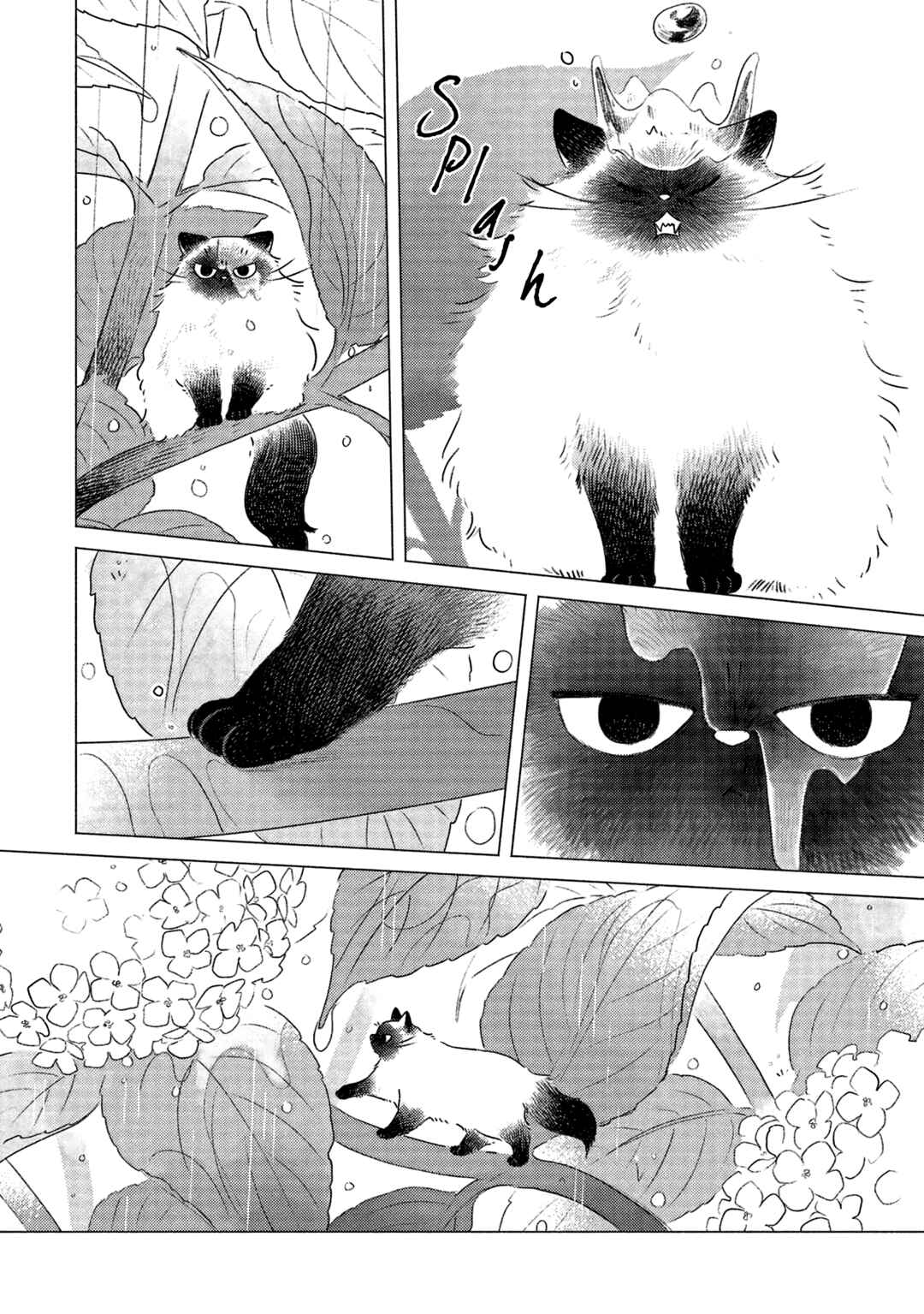 Chapter 1 - Page 5