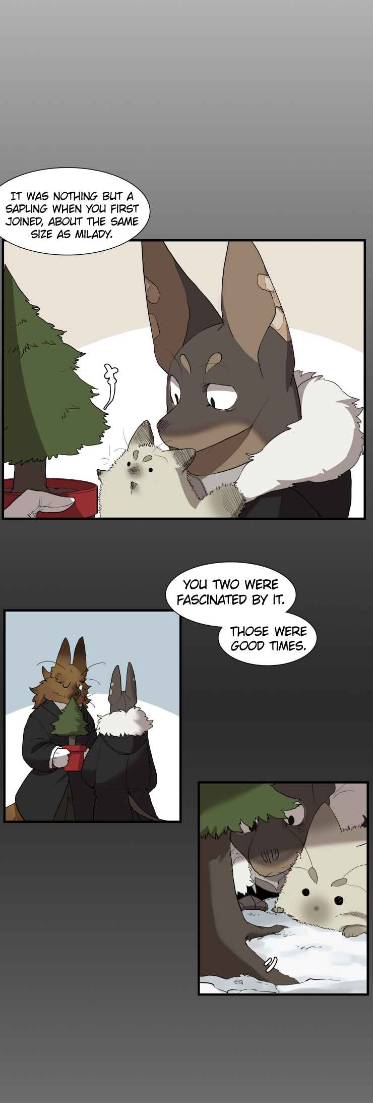 Chapter 249.5 - Page 3