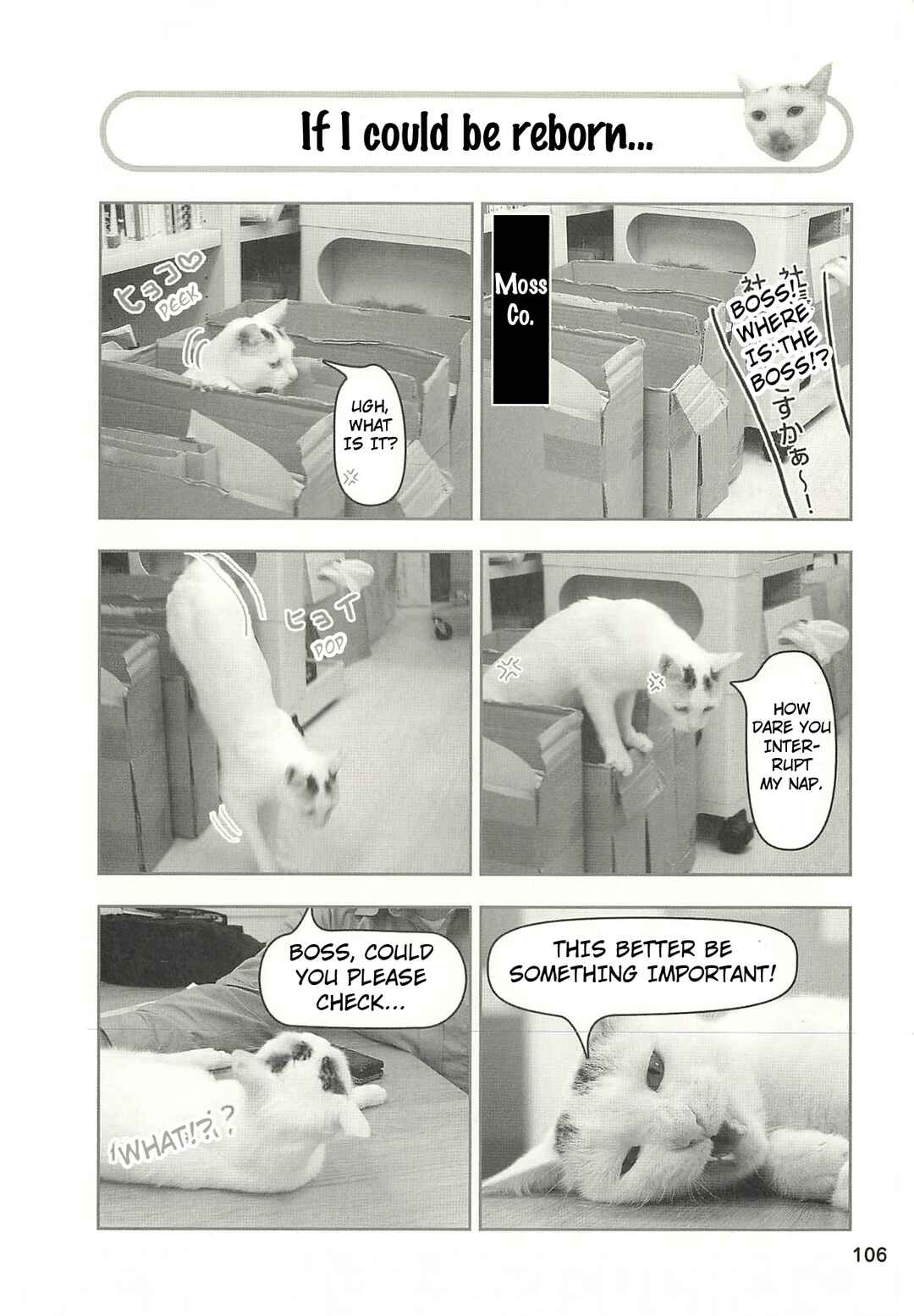 Chapter 43 - Page 1