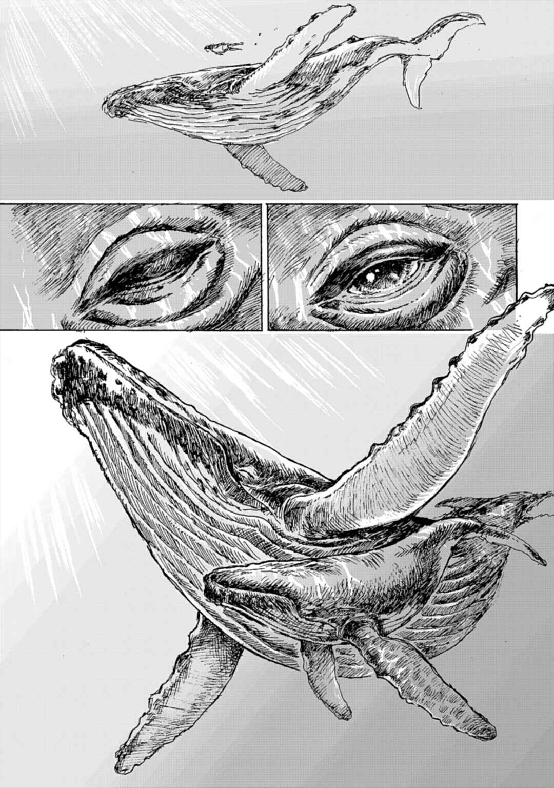 Chapter Web/Voting Version - Page 20