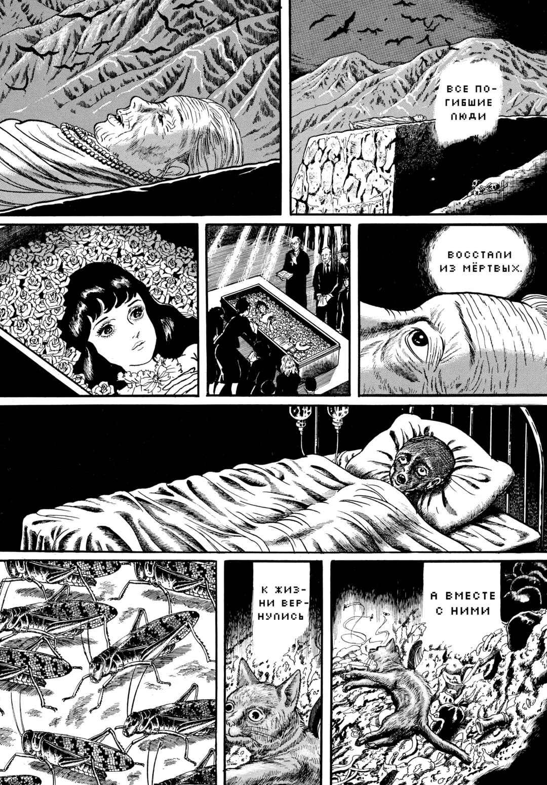 Chapter 85 - Page 10