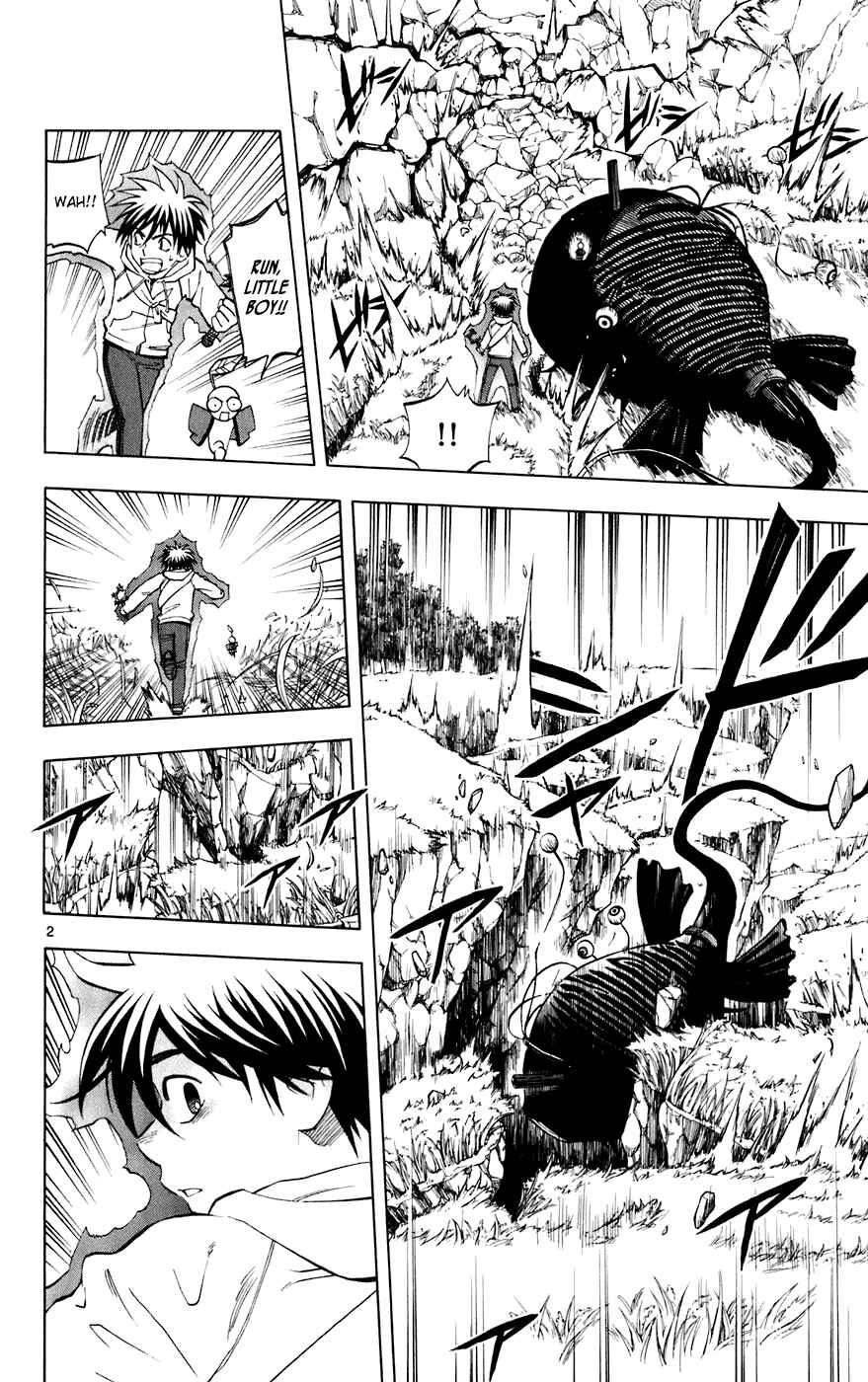 Chapter 203 - Page 2