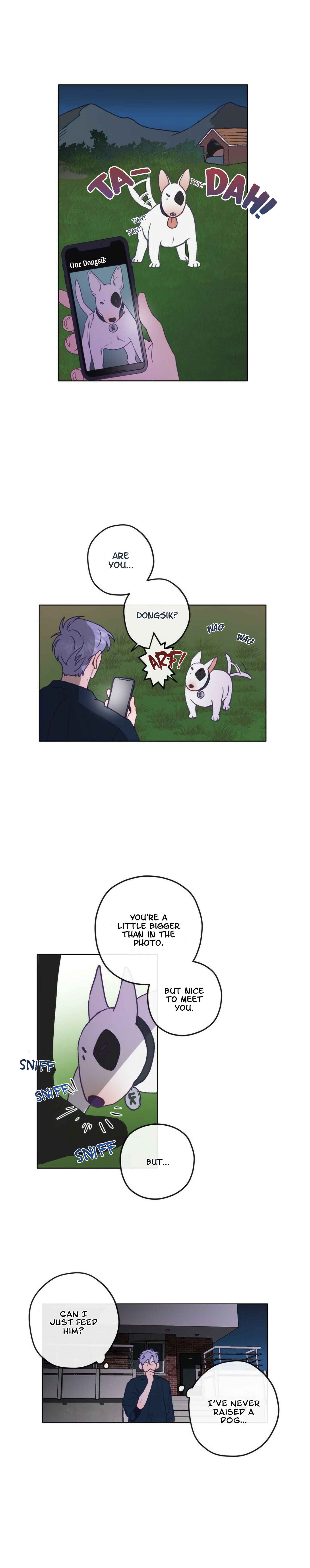 Chapter 1 - Page 21