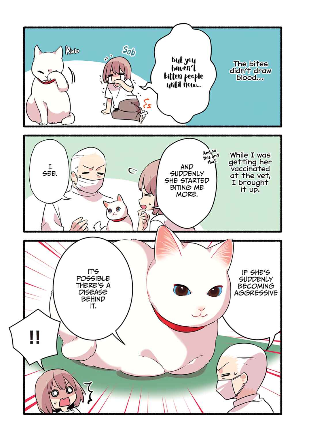 Chapter 3.6 - Page 3