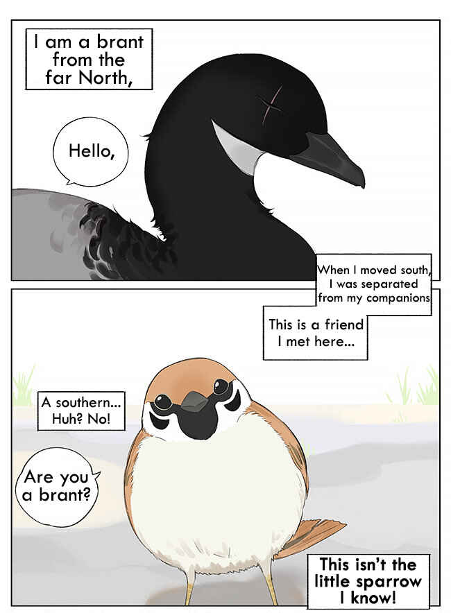 Chapter 9 - Page 1