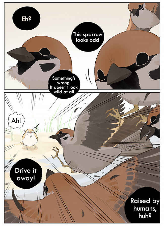 Chapter 9 - Page 4