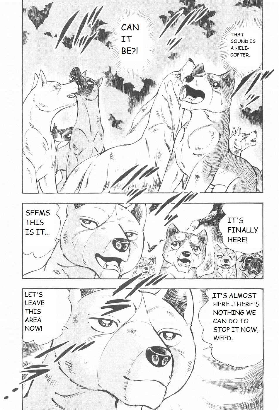 Chapter 212 - Page 4