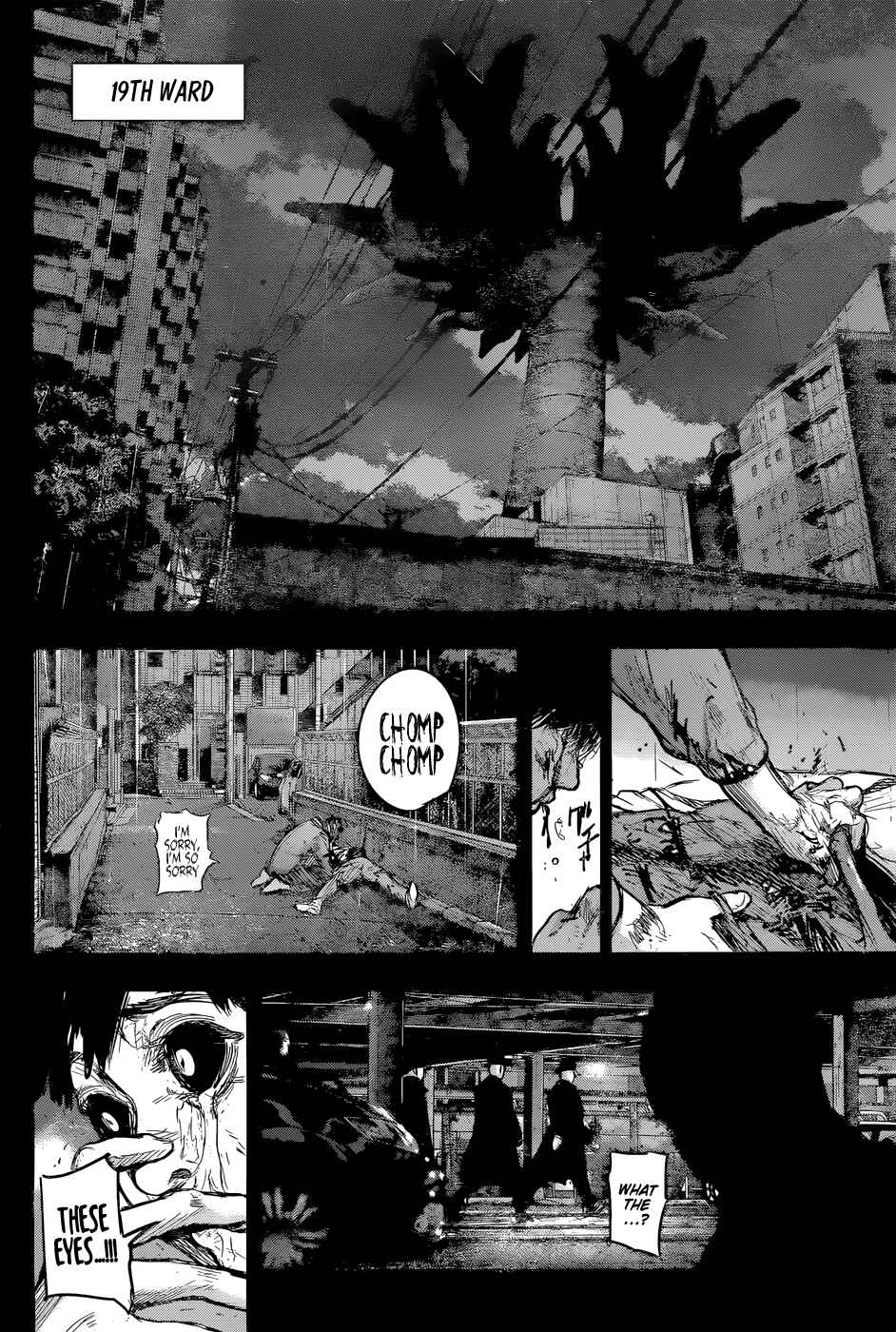 Chapter 161 - Page 17