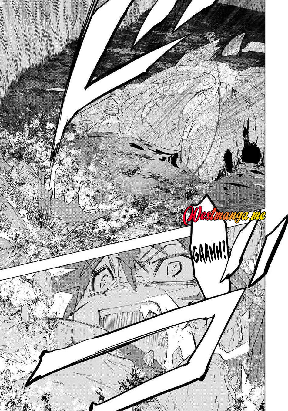 Chapter 195 - Page 14